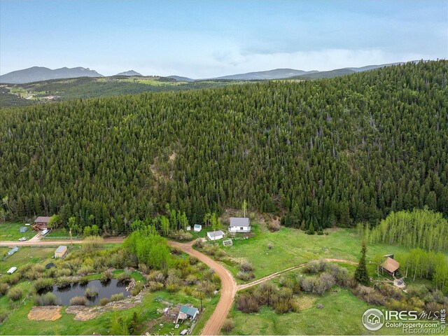 489 Beaver Creek Dr, Nederland, CO 80466 - photo 37