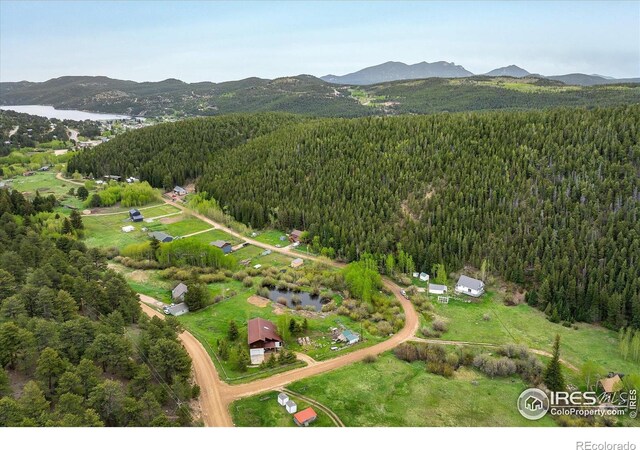 489 Beaver Creek Dr, Nederland, CO 80466 - photo 38