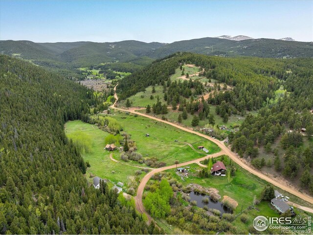 489 Beaver Creek Dr, Nederland, CO 80466 - photo 39