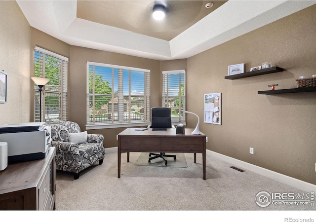 2055 Vineyard Dr, Windsor, CO 80550 - carpeted office featuring healthy amount of natural light, a textured wall, and a tray ceiling