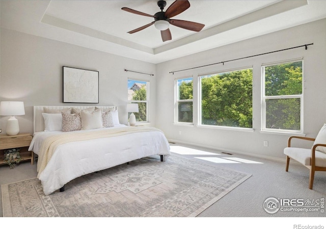 2133 Katahdin Dr, Fort Collins, CO 80525 - bedroom with carpet floors, a raised ceiling, and a ceiling fan