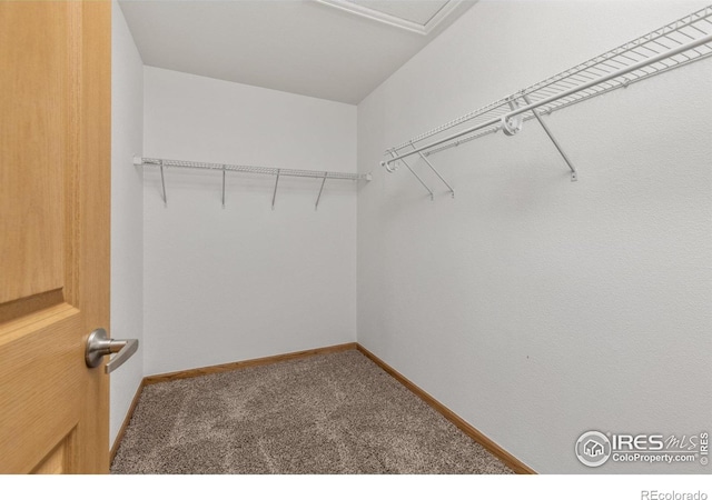 483 S Carriage Dr, Milliken, CO 80543 - photo 10