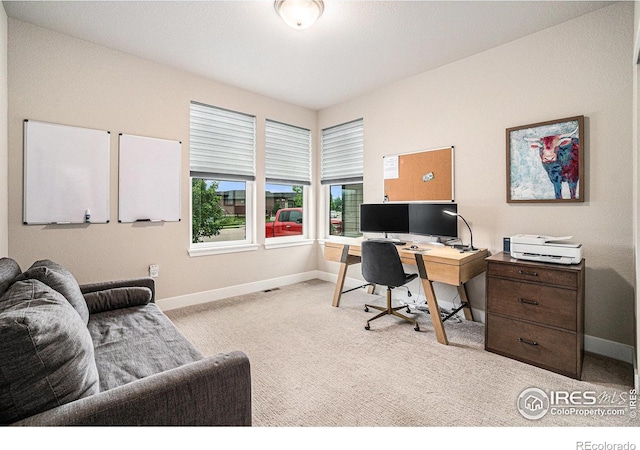 2716 San Cristobal Ct, Timnath, CO 80547 - home office featuring baseboards and carpet