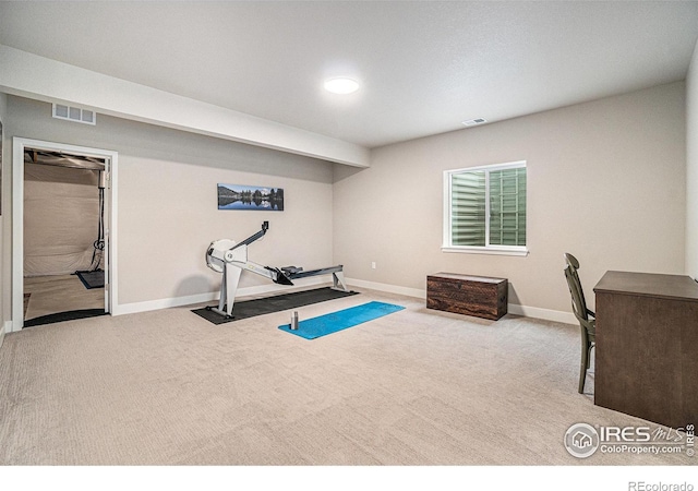 2716 San Cristobal Ct, Timnath, CO 80547 - exercise area featuring carpet floors and baseboards