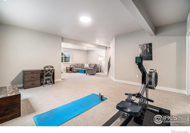 2716 San Cristobal Ct, Timnath, CO 80547 - workout area with carpet flooring