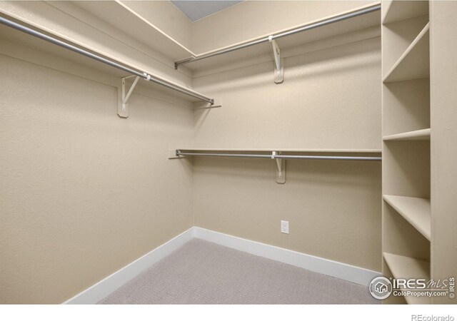 2009 Kerry Hill Dr, Fort Collins, CO 80525 - photo 12