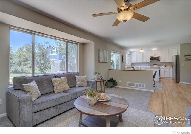 13382 Franklin St, Thornton, CO 80241 - living area featuring baseboards and ceiling fan