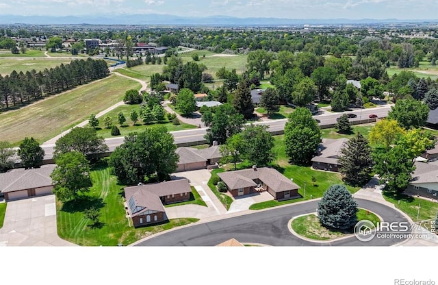 4557 W Pioneer Ln, Greeley, CO 80634 - aerial perspective of suburban area featuring a tree filled landscape