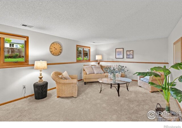 1256 Bristlecone Pl, Loveland, CO 80538