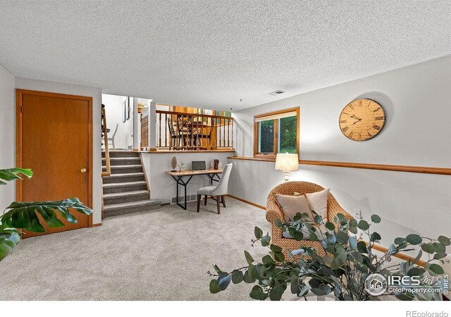 1256 Bristlecone Pl, Loveland, CO 80538