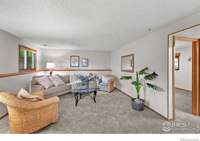 1256 Bristlecone Pl, Loveland, CO 80538