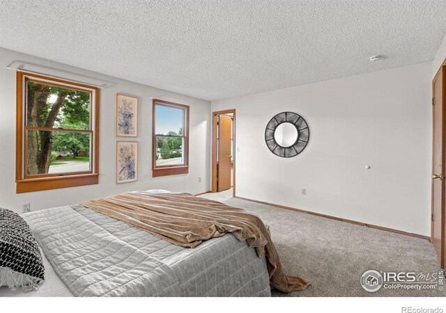 1256 Bristlecone Pl, Loveland, CO 80538