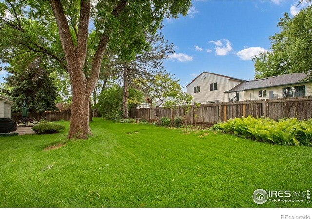 1256 Bristlecone Pl, Loveland, CO 80538