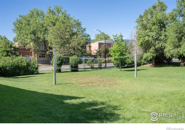 2636 Juniper Ave Unit 1, Boulder, CO 80304 - view of green lawn featuring volleyball court