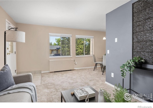 3009 Madison Ave Unit 317, Boulder, CO 80303 - photo 5