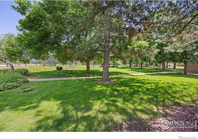 3009 Madison Ave Unit 317, Boulder, CO 80303 - photo 15