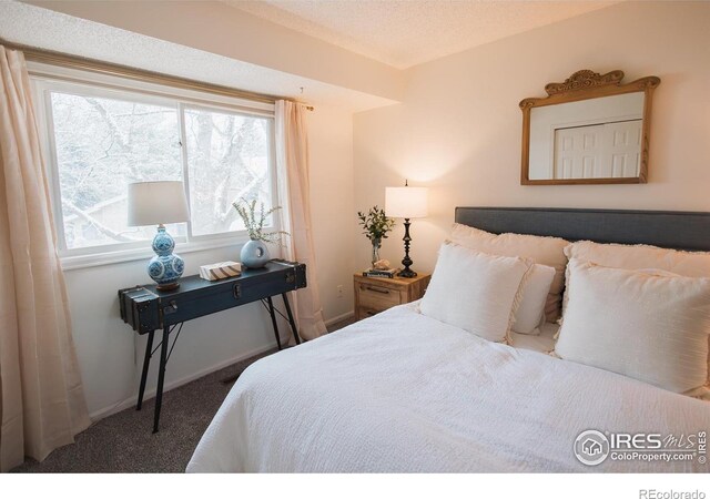 3025 Regatta Ln Unit 3, Fort Collins, CO 80525 - bedroom with carpet and multiple windows