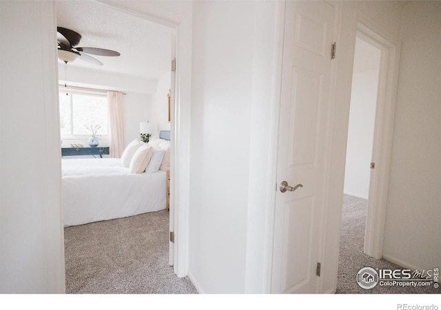3025 Regatta Ln Unit 3, Fort Collins, CO 80525 - corridor with carpet flooring and baseboards