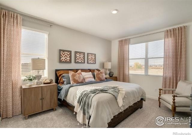 1885 Mount Monroe Dr, Berthoud, CO 80513 - bedroom with light carpet
