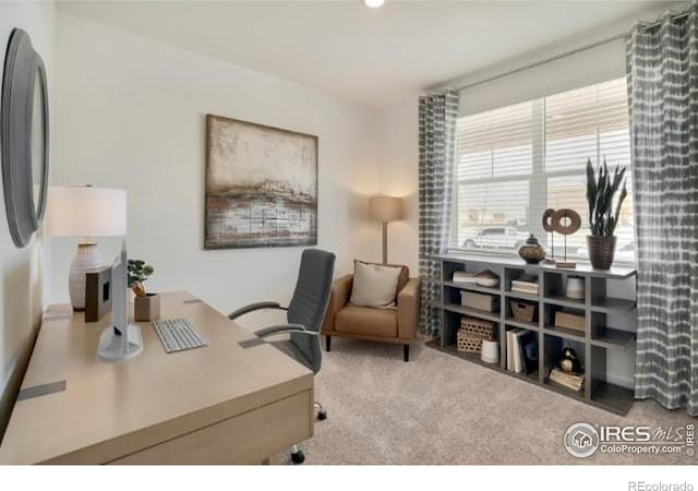 1885 Mount Monroe Dr, Berthoud, CO 80513 - office featuring carpet