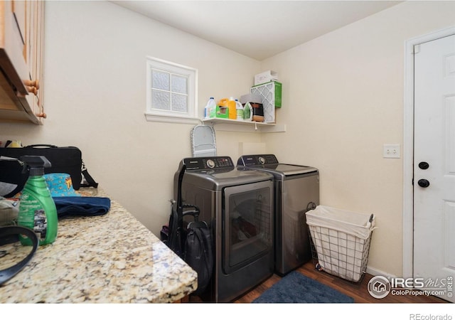 770 Lavastone Ave, Loveland, CO 80537 - photo 11