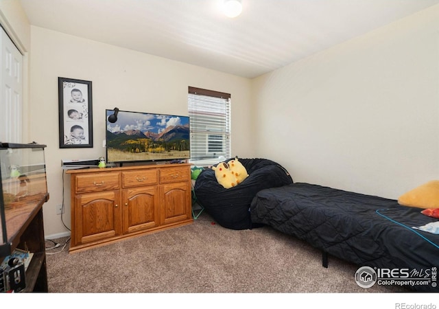 770 Lavastone Ave, Loveland, CO 80537 - photo 15