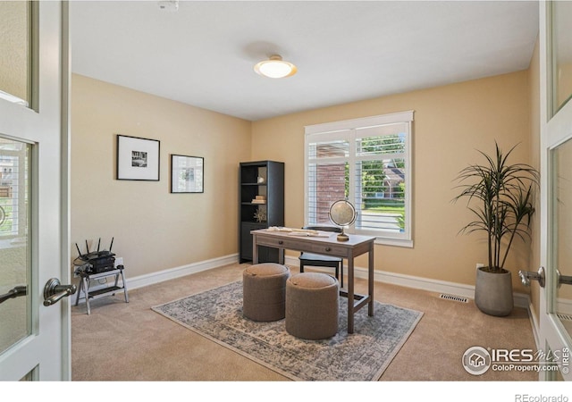 1806 Crestone Ct, Longmont, CO 80504 - photo 18