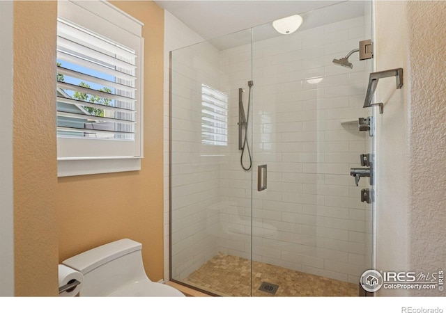 1806 Crestone Ct, Longmont, CO 80504 - photo 24