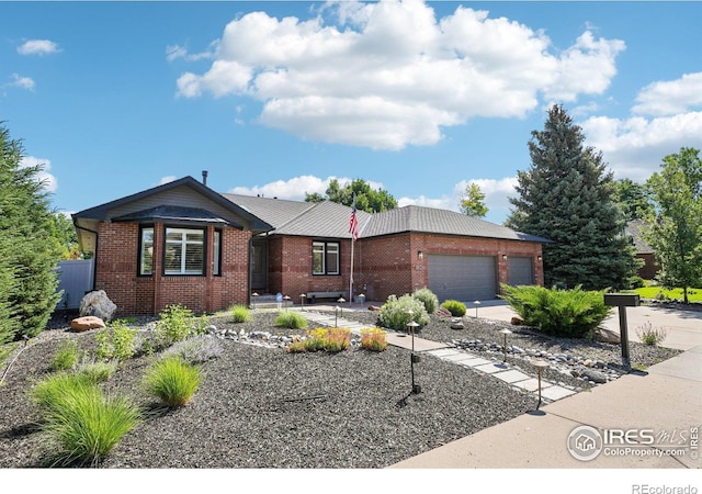1806 Crestone Ct, Longmont, CO 80504 - photo 1