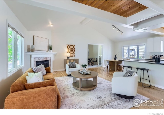 725 Union Ave, Boulder, CO 80304 - living area featuring light wood-style flooring, a high end fireplace, and track lighting