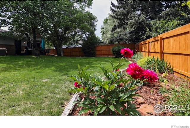 7459 Mount Meeker Rd, Longmont, CO 80503 - view of fenced backyard
