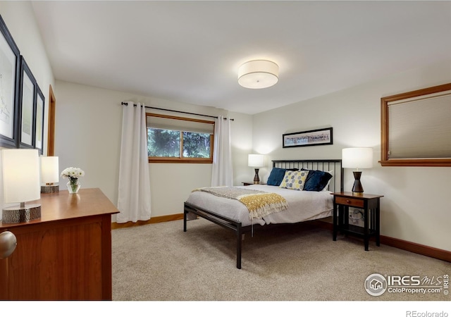 7459 Mount Meeker Rd, Longmont, CO 80503 - bedroom with carpet and baseboards