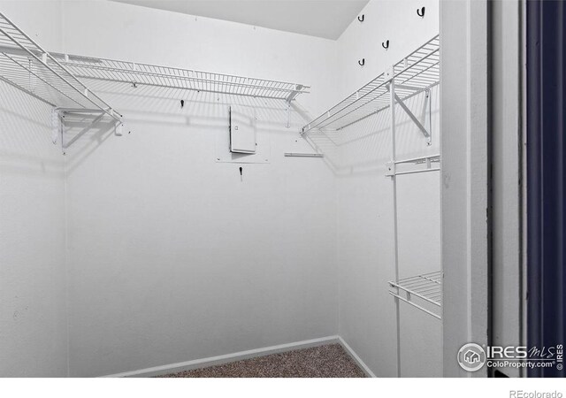 3565 Windmill Dr Unit F-7, Fort Collins, CO 80526 - spacious closet with carpet floors
