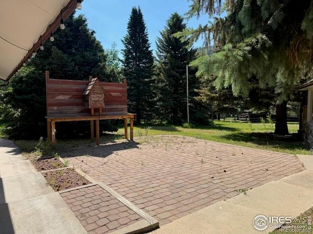 110 Meadow Ln, Bellvue, CO 80512 - view of patio / terrace