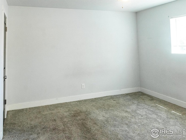 2037 Wedgewood Ct, Greeley, CO 80631 - carpeted spare room featuring baseboards