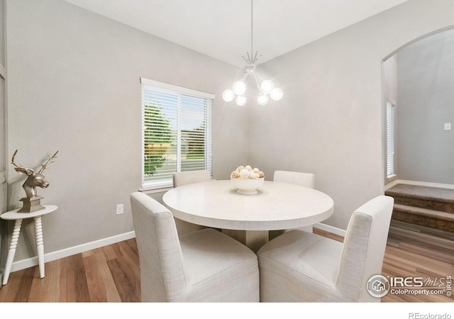 641 Babine Ct, Windsor, CO 80550 - dining room with light wood-style flooring and arched walkways