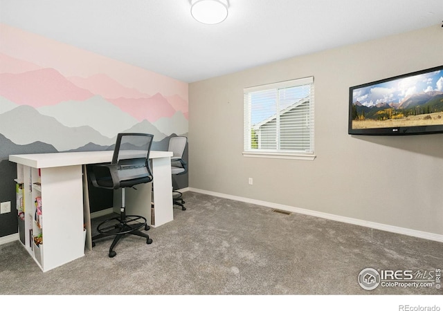 641 Babine Ct, Windsor, CO 80550 - carpeted office space featuring baseboards