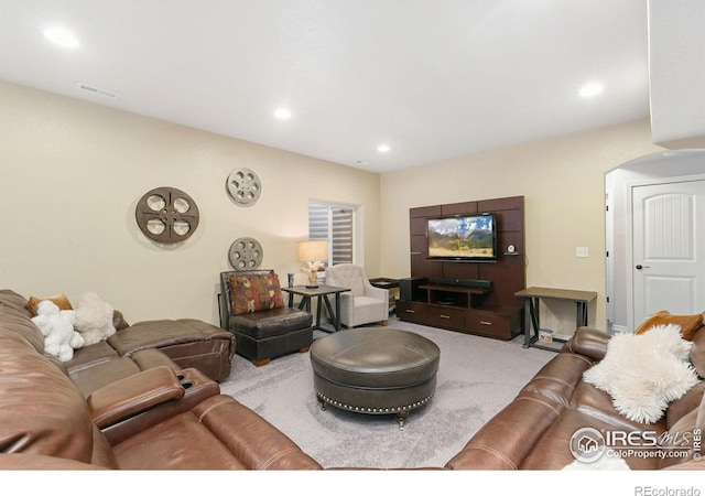 641 Babine Ct, Windsor, CO 80550 - carpeted living area with arched walkways and recessed lighting