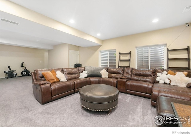 641 Babine Ct, Windsor, CO 80550 - living room with carpet flooring and recessed lighting