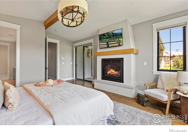 4008 Branigan Ct, Timnath, CO 80547