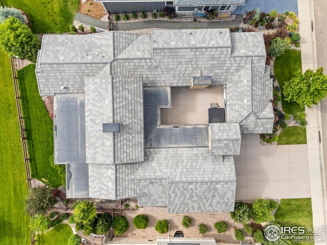 4008 Branigan Ct, Timnath, CO 80547