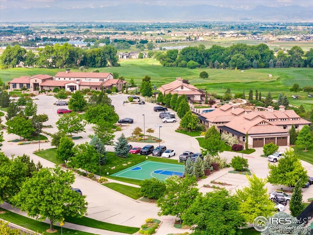 4008 Branigan Ct, Timnath, CO 80547