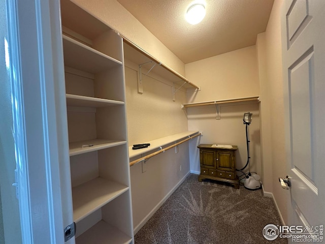 1238 Finch St, Loveland, CO 80537 - walk in closet featuring dark colored carpet