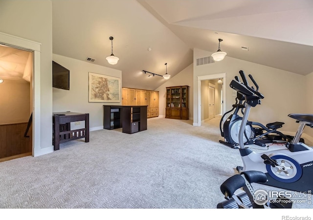 8576 Niwot Meadow Farm Rd, Niwot, CO 80503 - workout area featuring lofted ceiling and carpet