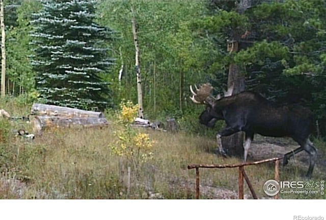 84 County Road 113 S, Allenspark, CO 80510 - photo 26