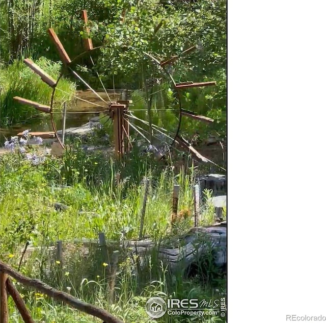 84 County Road 113 S, Allenspark, CO 80510 - photo 3