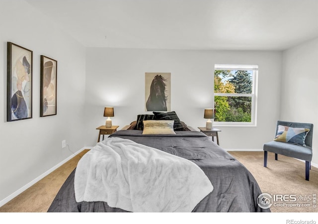 2036 Lexington Ct, Fort Collins, CO 80526 - bedroom featuring carpet and baseboards