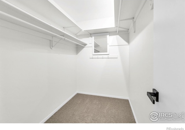 2036 Lexington Ct, Fort Collins, CO 80526 - spacious closet featuring carpet floors