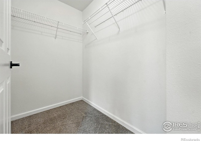 530 Mohawk Dr Unit 73, Boulder, CO 80303 - spacious closet with carpet floors