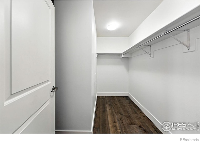 3401 Arapahoe Ave Unit 420, Boulder, CO 80303 - spacious closet with dark wood finished floors